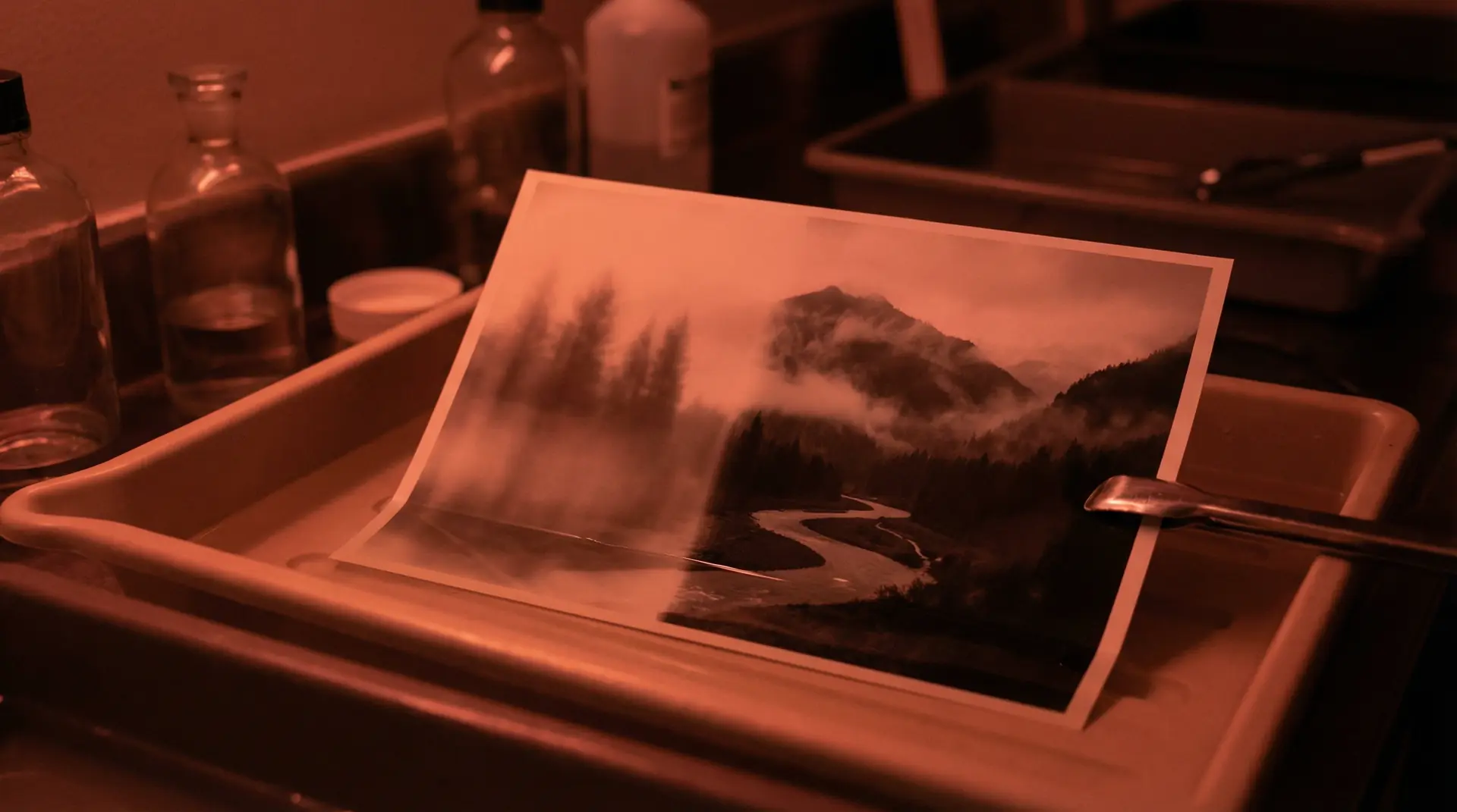 色漫 APP下载背景